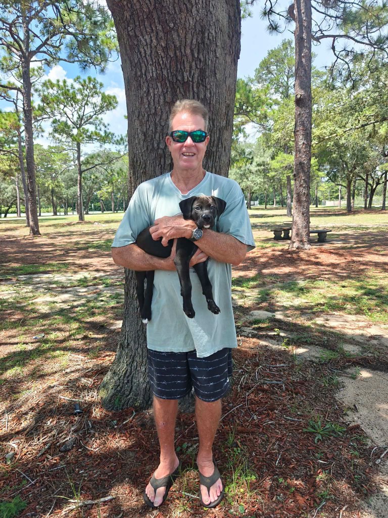 Adopted dog Liberty
